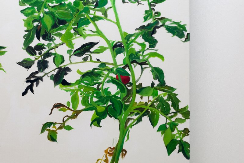 Alex Fischer, Vii 陈文波 Chen Wen Bo Detail, 2015-02-26